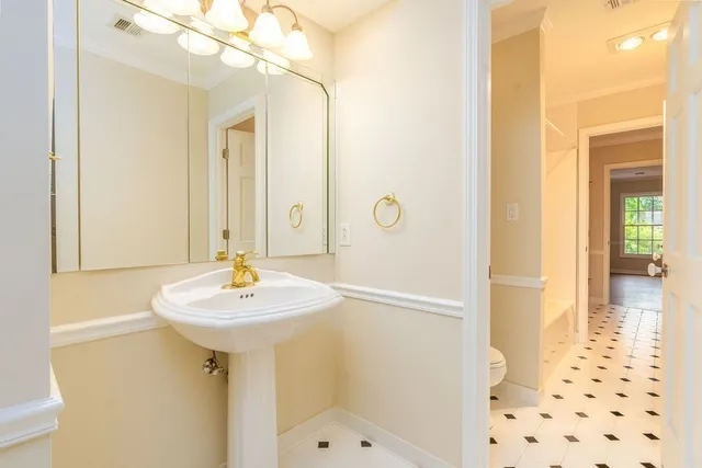 a view of a yard with plants and trees