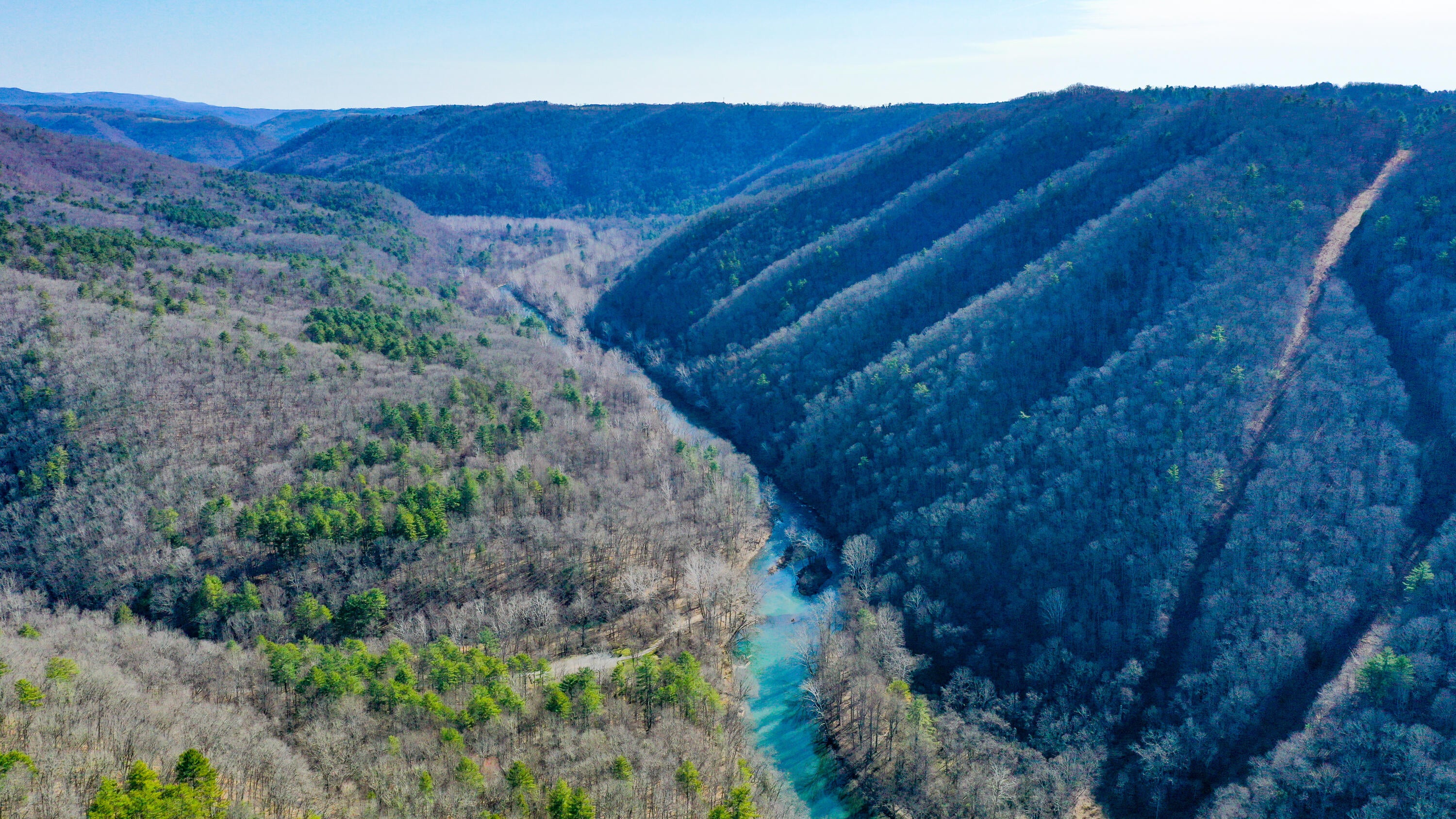 491 Bluestone River Road Jumping Branch, WV 25969 - Photo 11 of 63 Gallery Image 11