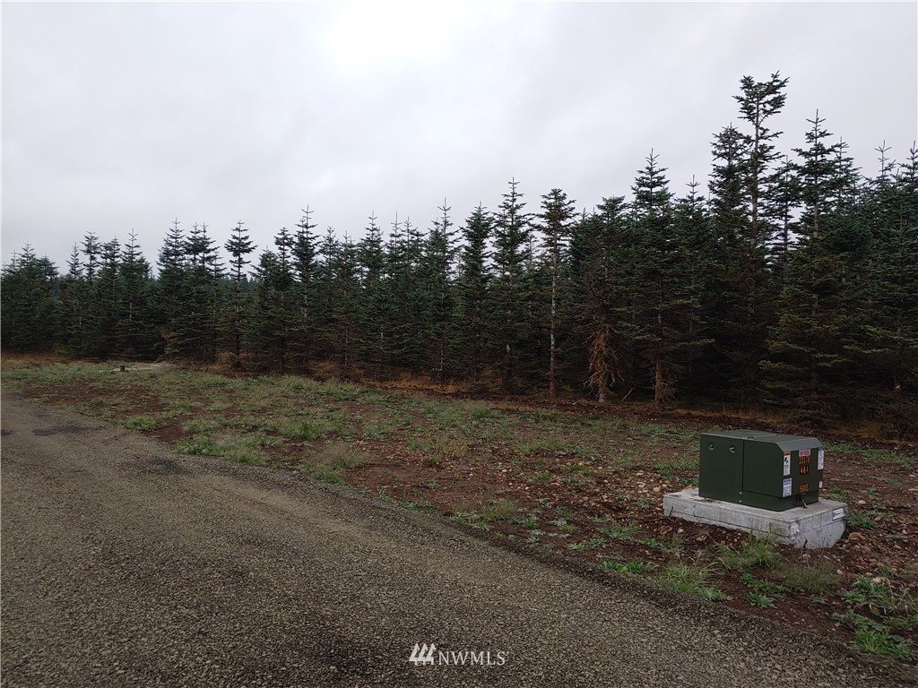 23 Middle Satsop Road Montesano, WA 98563 - Photo 2 of 3 Gallery Image 2