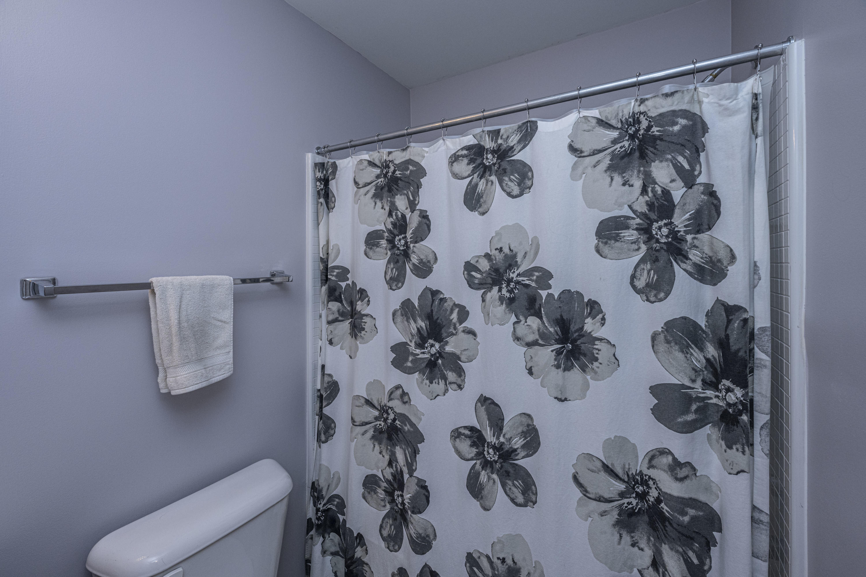 265 Cameron Street Summerville, SC 29486 - Photo 29 of 42 DSC_1429