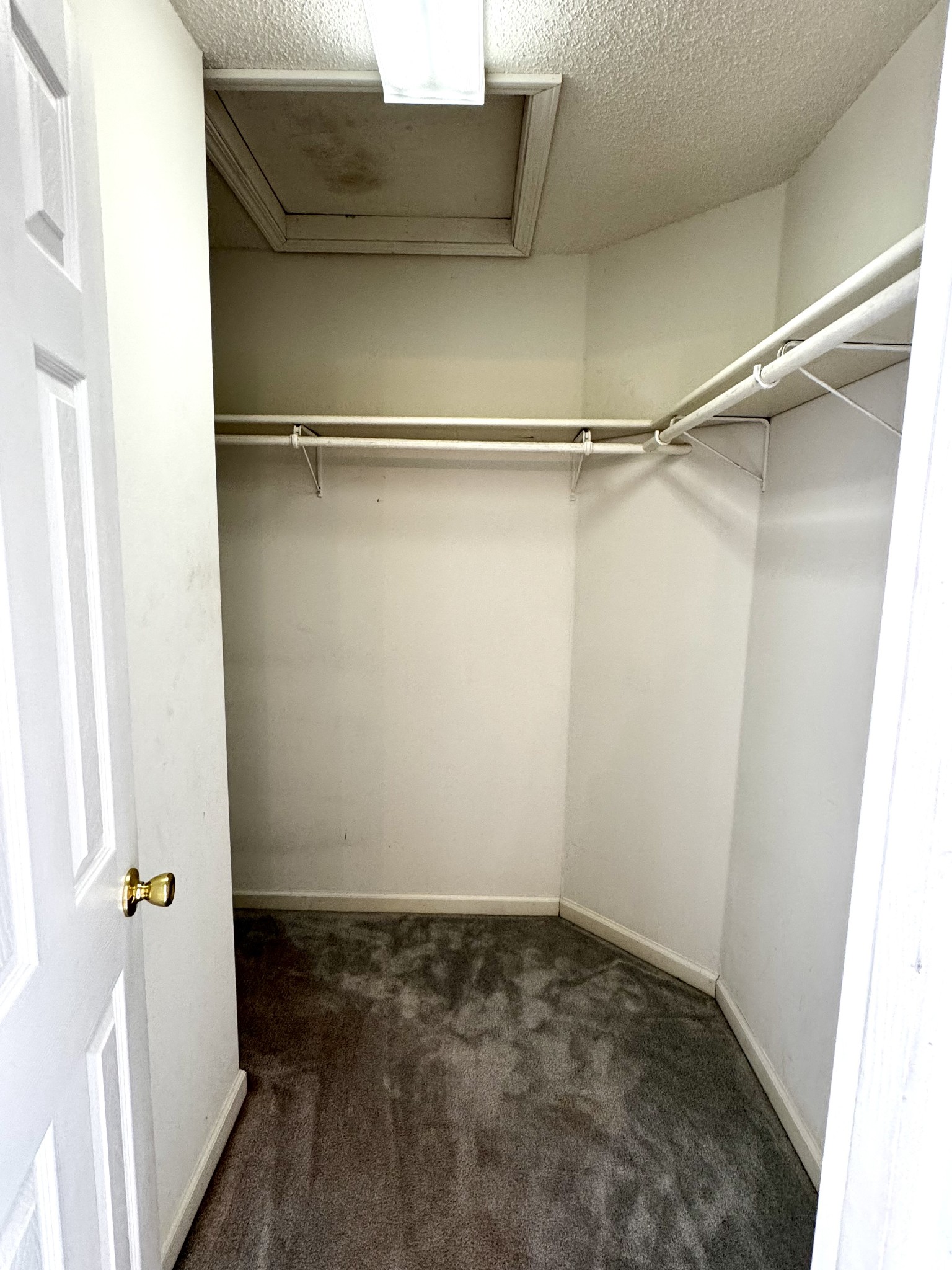 4207 Station Road Cunningham, TN 37052 - Photo 13 of 36 a view of walk in closet with empty racks