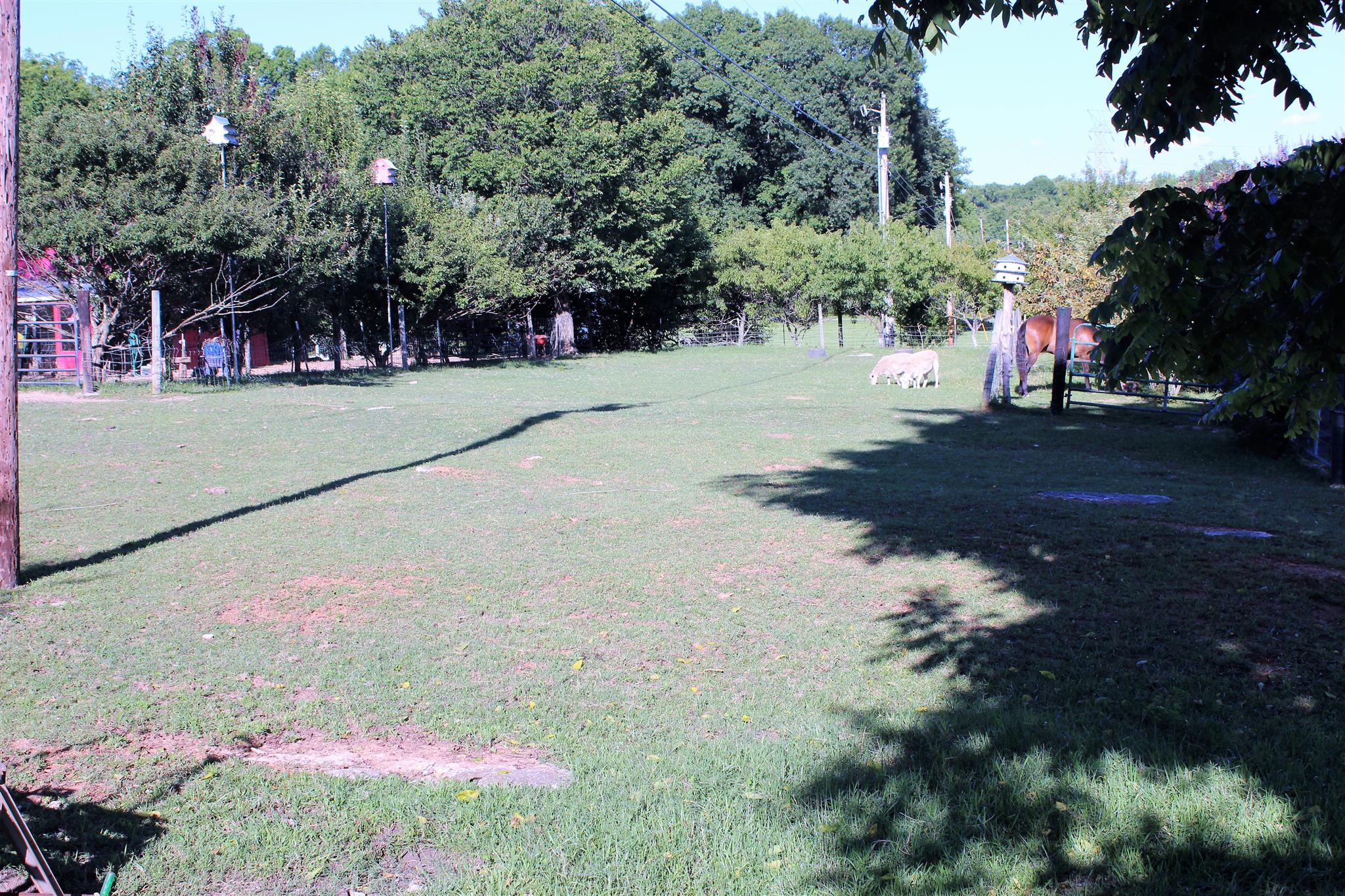 1655 Double Log Cabin Road Lebanon, TN 37087 - Photo 27 of 30 Gallery Image 27