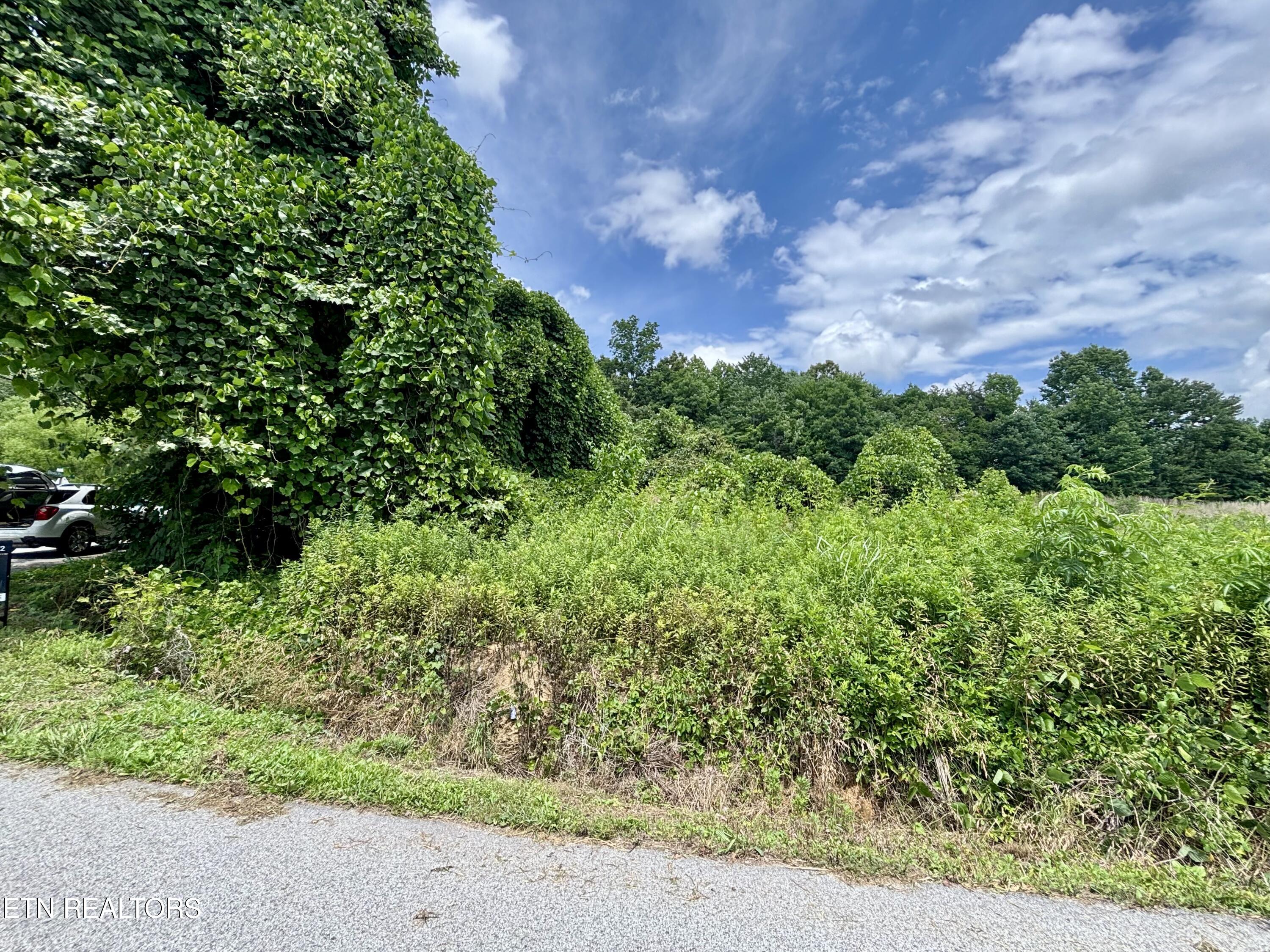 0 Davis Hollow Road Harriman, TN 37748 - Photo 3 of 6 IMG_5106
