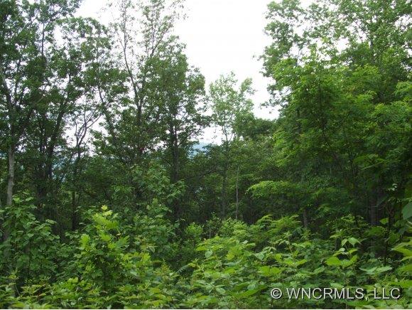 Xxx Xxx Raccoon Ridge Fairview, NC 28730 - Photo 1 of 9 Gallery Image 1