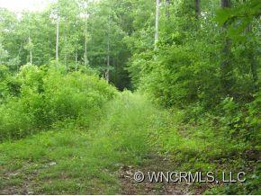 Xxx Xxx Raccoon Ridge Fairview, NC 28730 - Photo 2 of 9 Gallery Image 2
