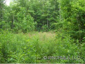 Xxx Xxx Raccoon Ridge Fairview, NC 28730 - Photo 3 of 9 Gallery Image 3