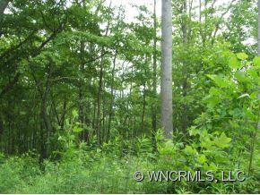Xxx Xxx Raccoon Ridge Fairview, NC 28730 - Photo 4 of 9 Gallery Image 4