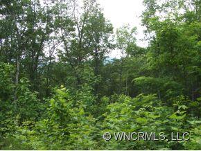 Xxx Xxx Raccoon Ridge Fairview, NC 28730 - Photo 5 of 9 Gallery Image 5