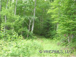 Xxx Xxx Raccoon Ridge Fairview, NC 28730 - Photo 6 of 9 Gallery Image 6