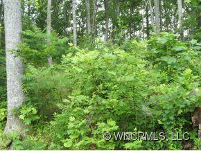 Xxx Xxx Raccoon Ridge Fairview, NC 28730 - Photo 7 of 9 Gallery Image 7