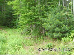 Xxx Xxx Raccoon Ridge Fairview, NC 28730 - Photo 8 of 9 Gallery Image 8