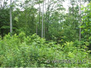Xxx Xxx Raccoon Ridge Fairview, NC 28730 - Photo 9 of 9 Gallery Image 9