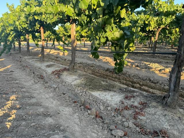 4000 East Acampo Road Clements, CA 95220 - Photo 33 of 40