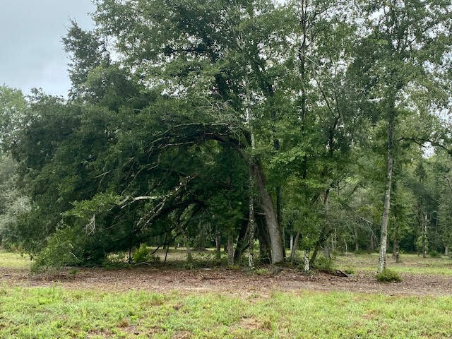 Tbd Redds Branch Road Aiken, SC 29801 - Photo 8 of 23
