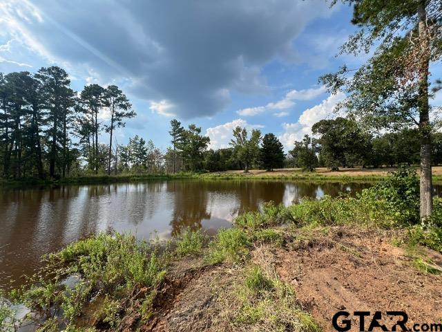 38-acres Off Watson Road Kilgore, TX 75662 - Photo 31 of 38