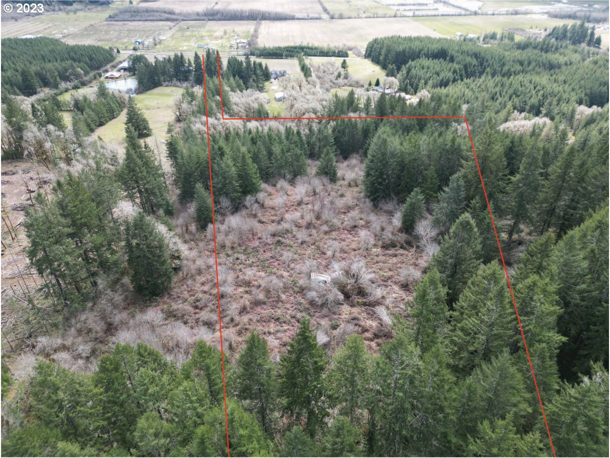 46370 Southwest Hebo Road Grand Ronde, OR 97347 - Photo 3 of 5 a view of a forest with a street