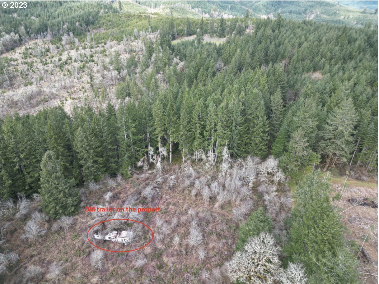 46370 Southwest Hebo Road Grand Ronde, OR 97347 - Photo 4 of 5 a view of a forest with trees in the background