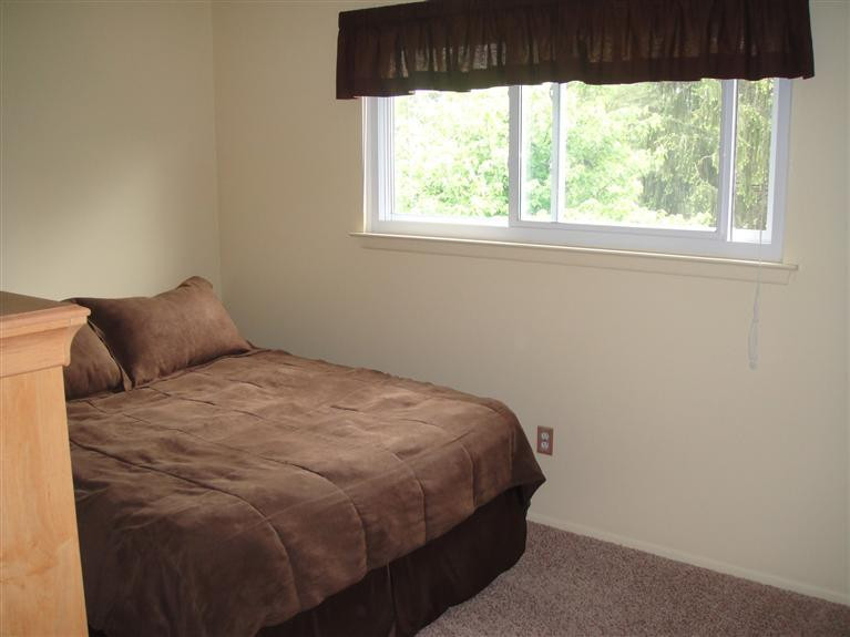 423 Willis Road Saline, MI 48176 - Photo 19 of 25 Photo 19
