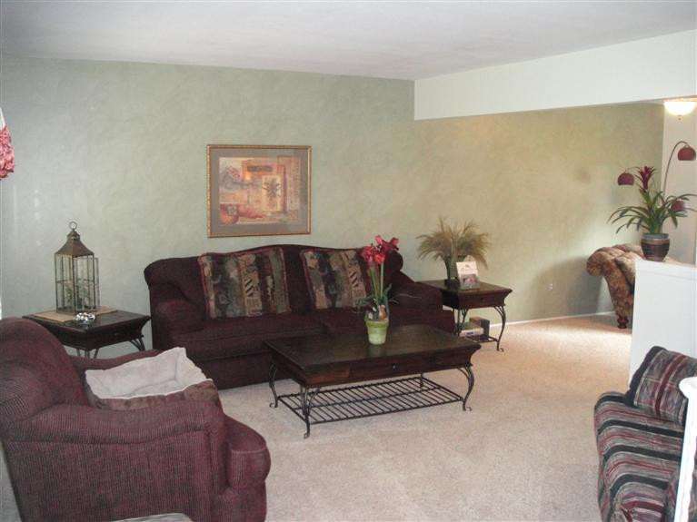 423 Willis Road Saline, MI 48176 - Photo 4 of 25 Photo 4