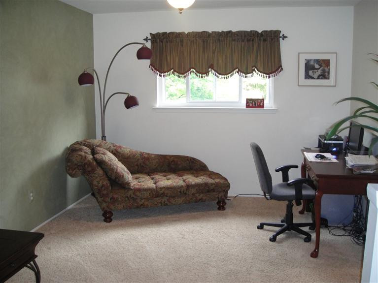 423 Willis Road Saline, MI 48176 - Photo 6 of 25 Photo 6