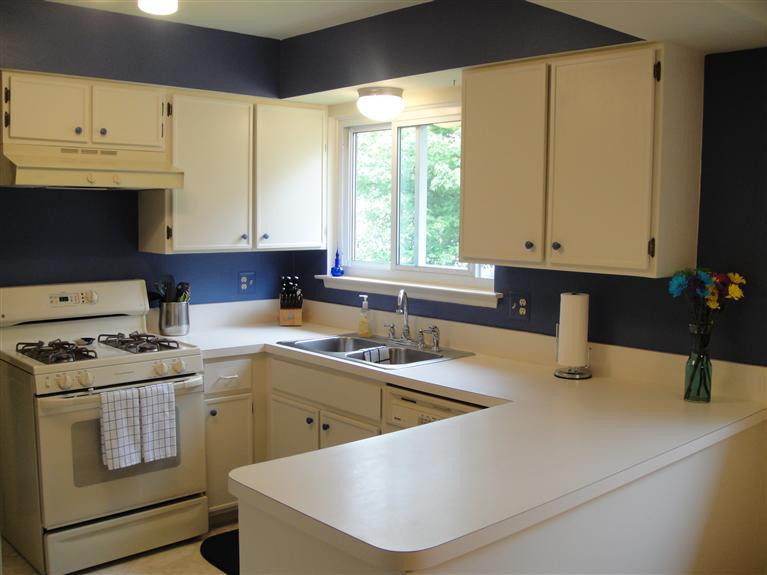 423 Willis Road Saline, MI 48176 - Photo 8 of 25 Photo 8