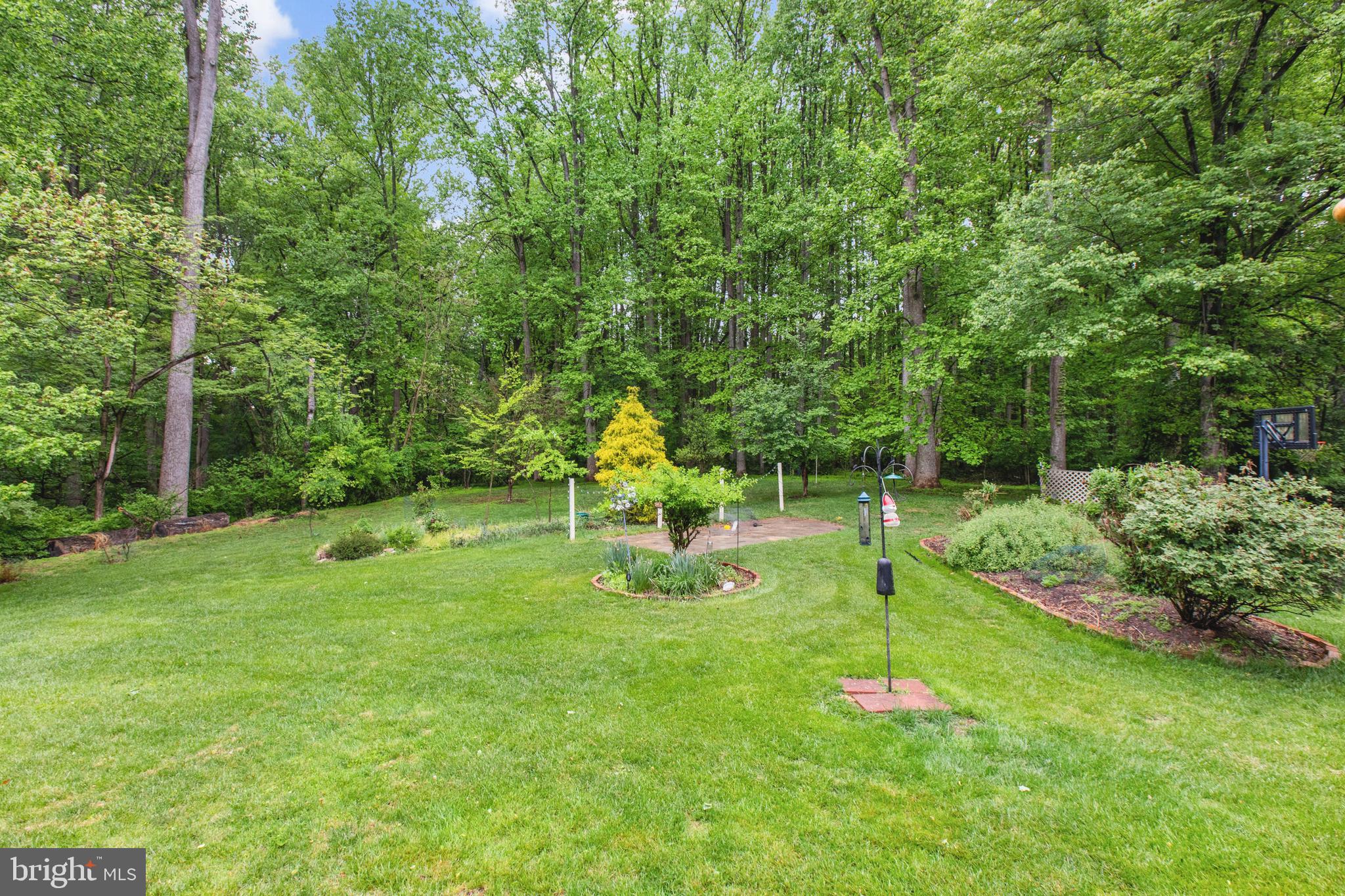 5602 Patterson Road Baldwin, MD 21013 - Photo 18 of 88 Backyard