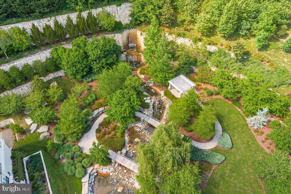 8111 River Road, Unit 131 Bethesda, MD 20817 - Photo 57 of 59 Lovely grounds to wander
