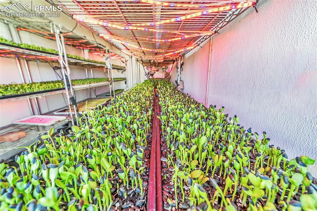 7545 North Log Road Peyton, CO 80831 - Photo 18 of 44 a view of a shaded area in a garden
