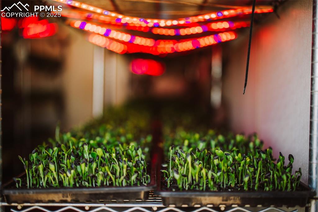 7545 North Log Road Peyton, CO 80831 - Photo 19 of 44 a view of street
