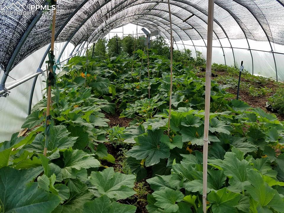 7545 North Log Road Peyton, CO 80831 - Photo 22 of 44 a backyard of a building