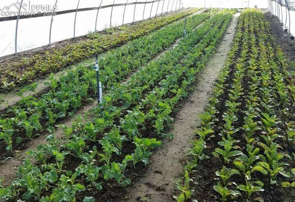 7545 North Log Road Peyton, CO 80831 - Photo 24 of 44 a view of a garden with a building