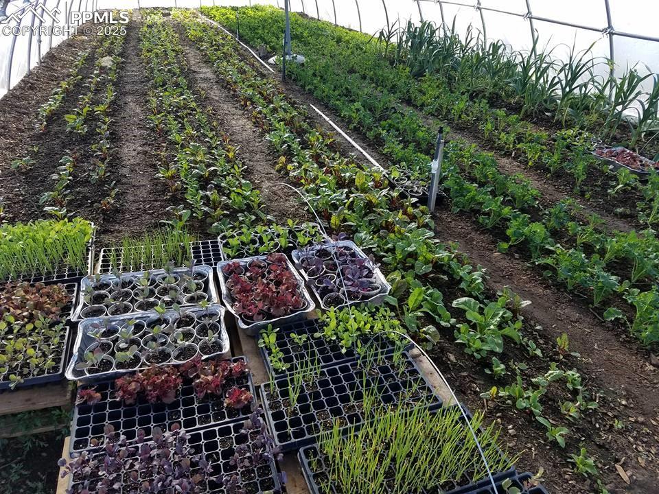 7545 North Log Road Peyton, CO 80831 - Photo 25 of 44 a city view with tall buildings