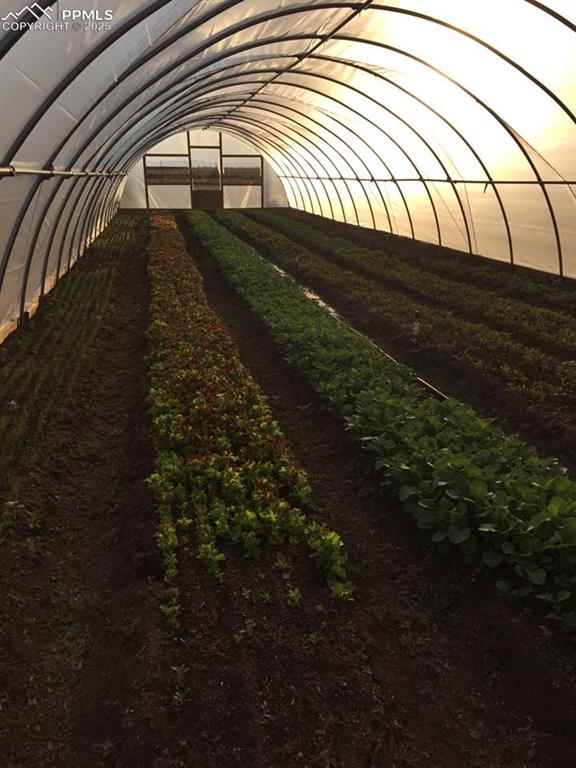 7545 North Log Road Peyton, CO 80831 - Photo 27 of 44 a view of a backyard