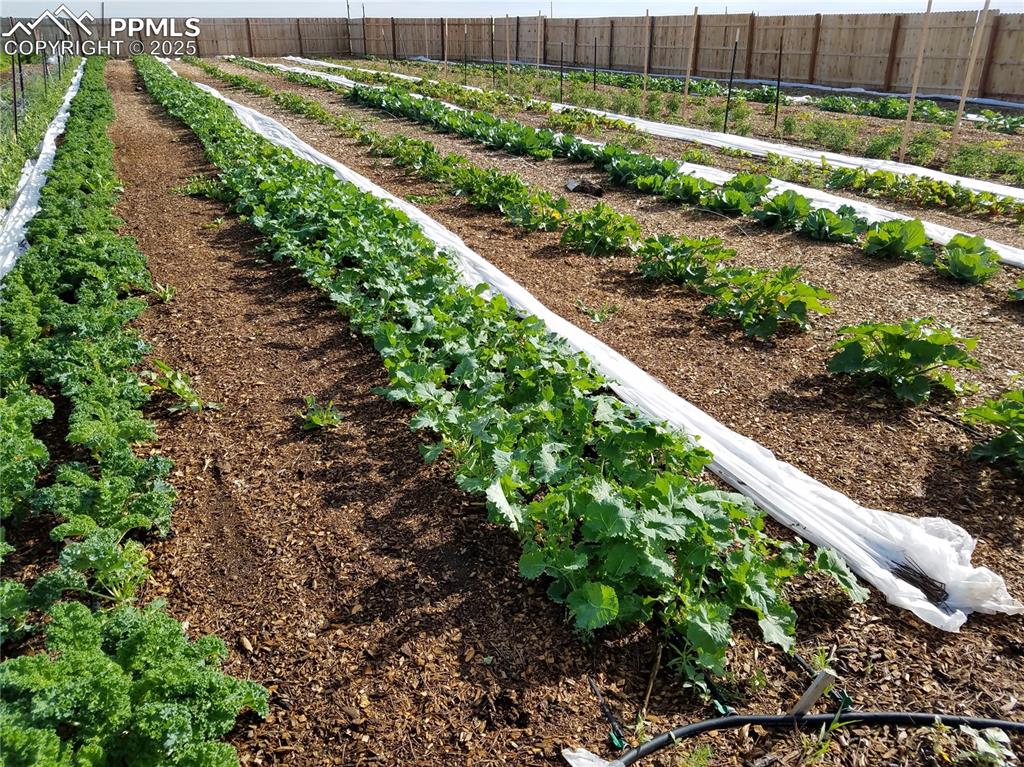 7545 North Log Road Peyton, CO 80831 - Photo 29 of 44 a view of a garden with a yard