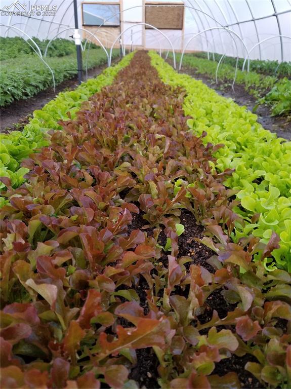 7545 North Log Road Peyton, CO 80831 - Photo 31 of 44 a view of a green field