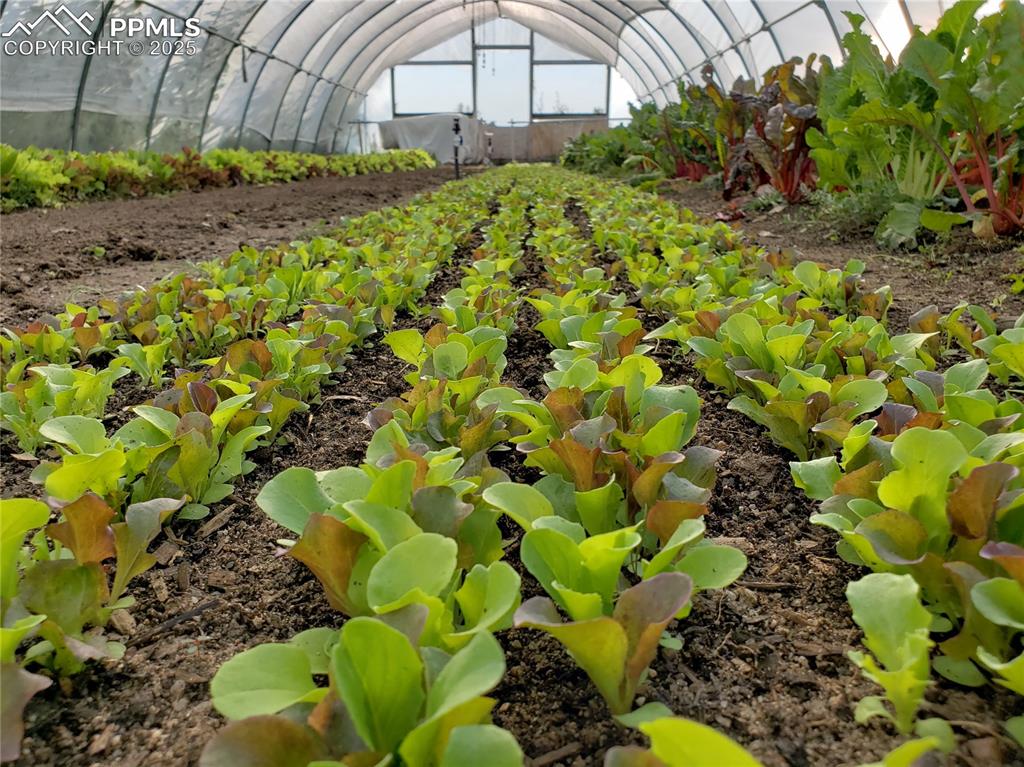 7545 North Log Road Peyton, CO 80831 - Photo 34 of 44 a view of a garden with a fountain