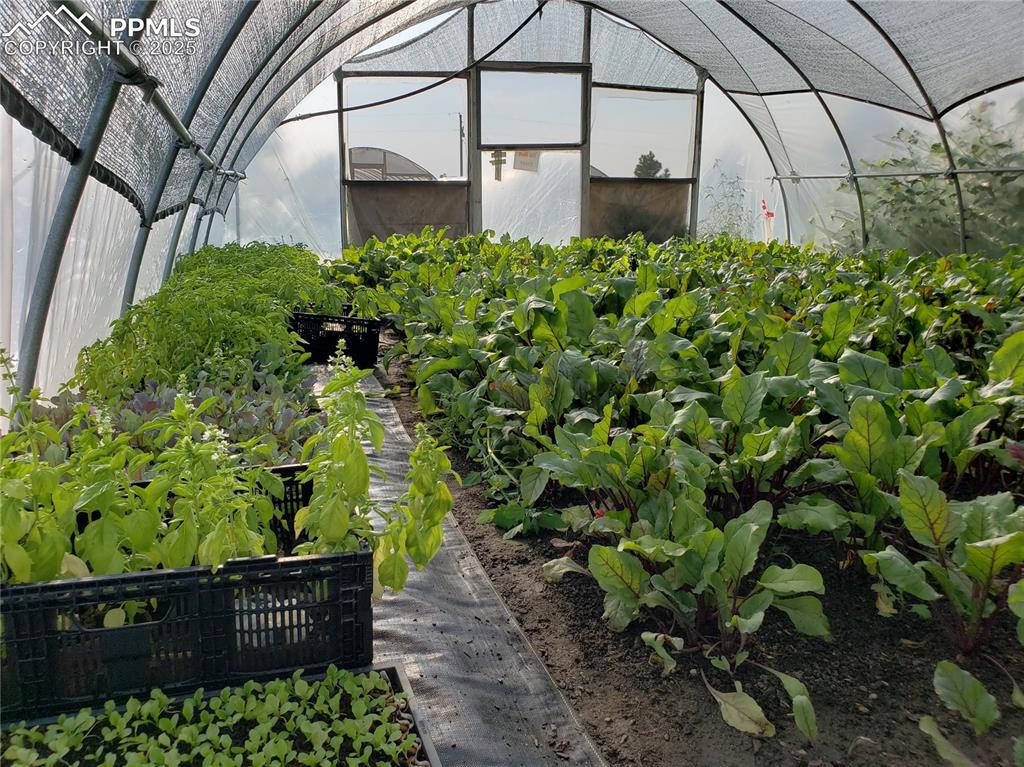 7545 North Log Road Peyton, CO 80831 - Photo 35 of 44 a view of a garden