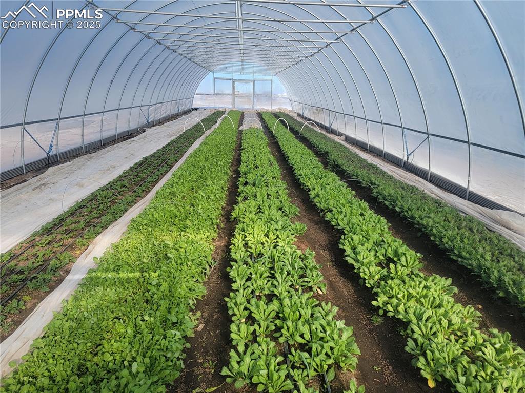 7545 North Log Road Peyton, CO 80831 - Photo 37 of 44 a view of a backyard