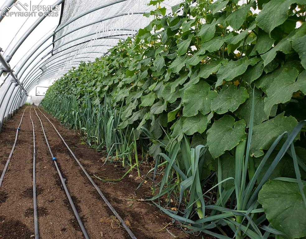 7545 North Log Road Peyton, CO 80831 - Photo 38 of 44 a view of an outdoor space
