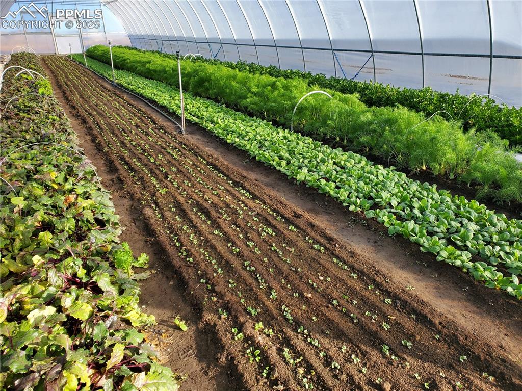 7545 North Log Road Peyton, CO 80831 - Photo 40 of 44 a view of a garden with a pathway