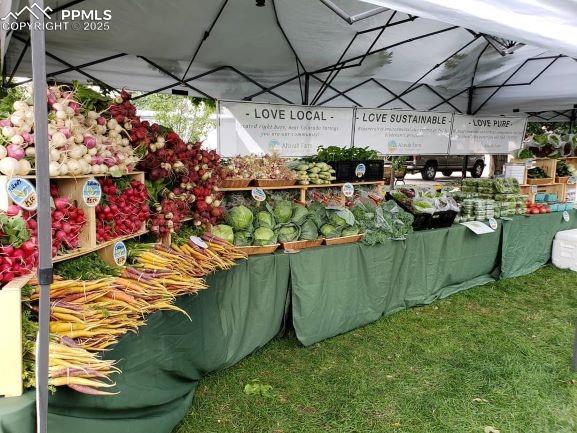 7545 North Log Road Peyton, CO 80831 - Photo 41 of 44 a view of a garage