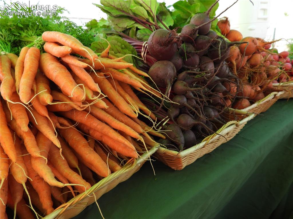 7545 North Log Road Peyton, CO 80831 - Photo 42 of 44 a backyard of a house with chairs