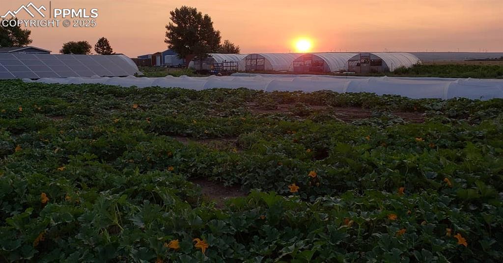 7545 North Log Road Peyton, CO 80831 - Photo 5 of 44 a view of a house with a yard and lake view