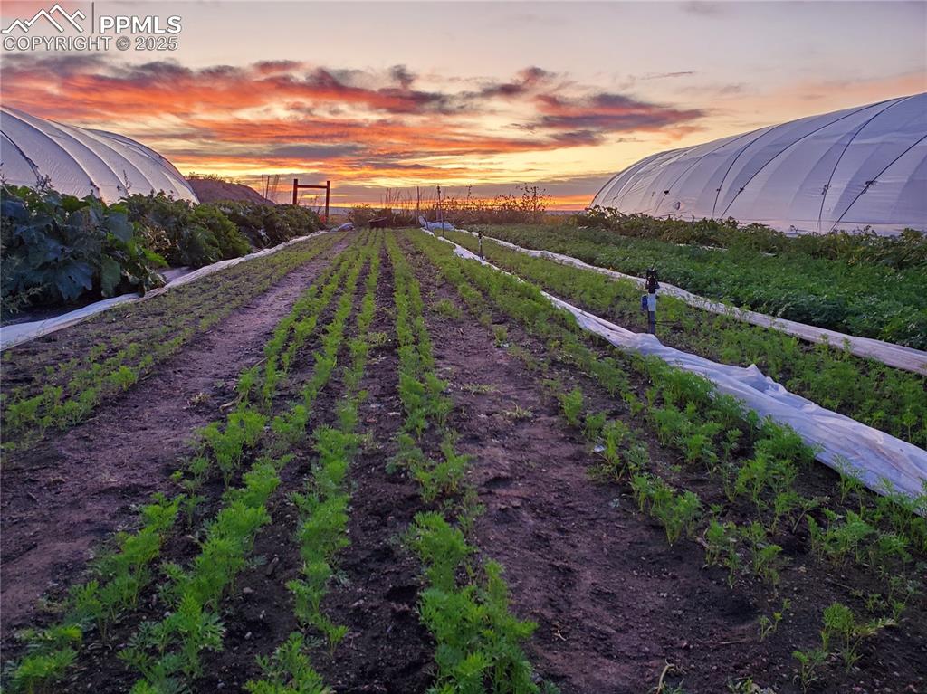 7545 North Log Road Peyton, CO 80831 - Photo 6 of 44 a view of a pathway with a garden