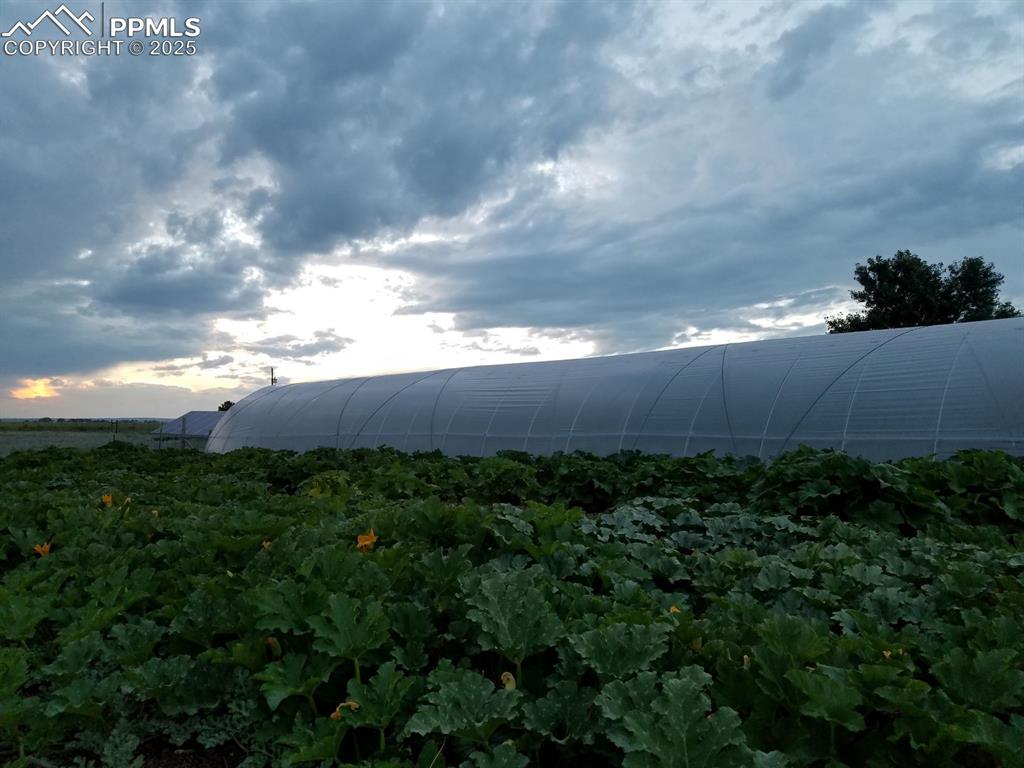 7545 North Log Road Peyton, CO 80831 - Photo 8 of 44 a view of a yard and an ocean