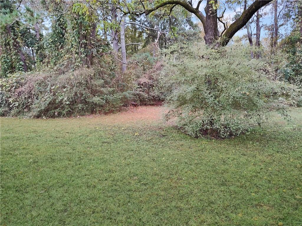 497 Highway 212 Covington, GA 30016 - Photo 14 of 14 a view of a yard with a tree