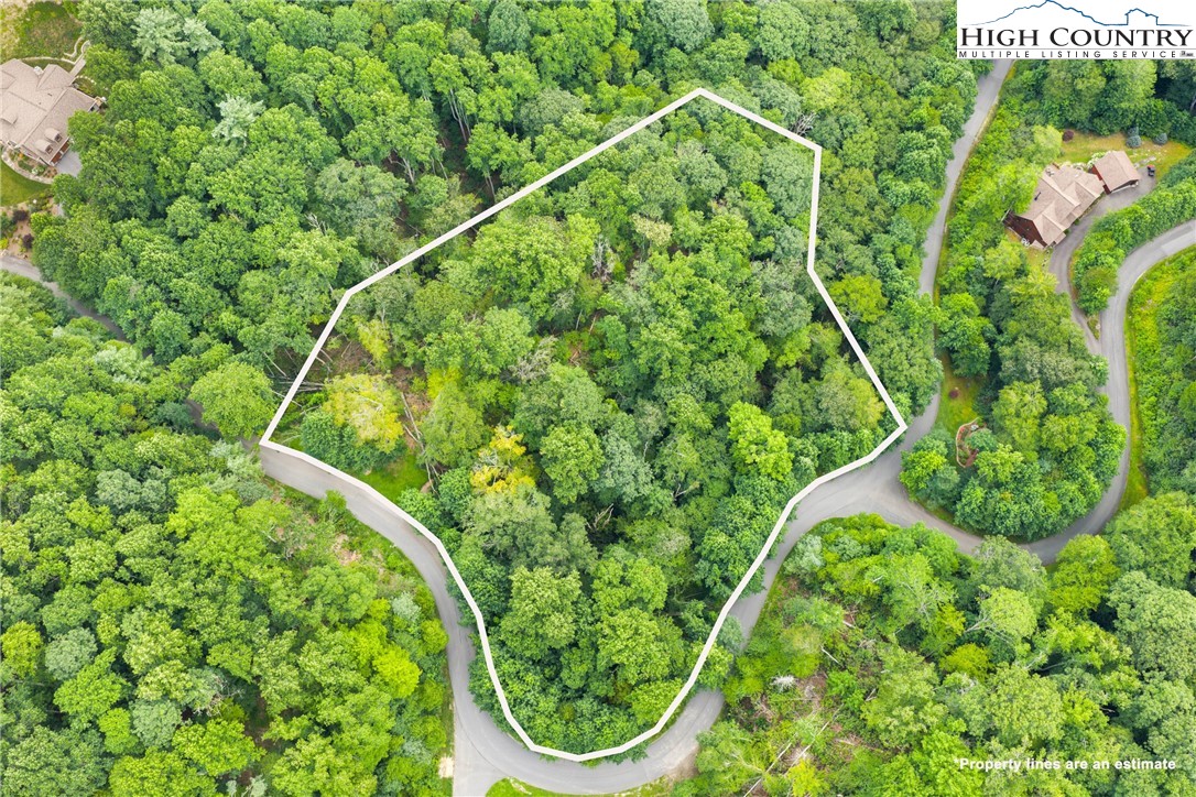 Lot 201 Twin Rivers Drive Boone, NC 28607 - Photo 1 of 14