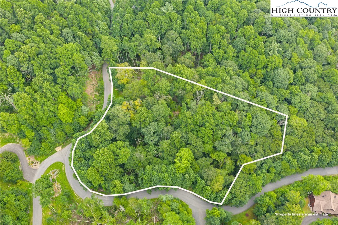 Lot 201 Twin Rivers Drive Boone, NC 28607 - Photo 5 of 14 a view of a tennis court