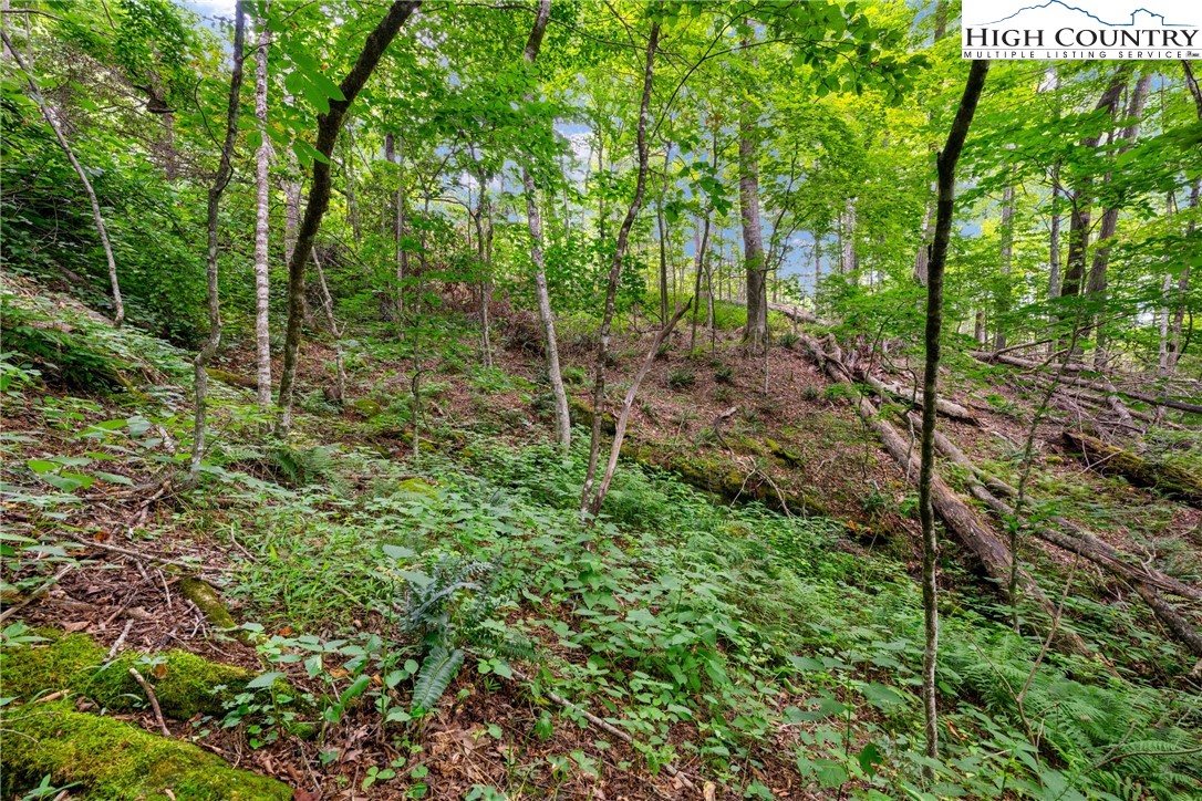 Lot 201 Twin Rivers Drive Boone, NC 28607 - Photo 10 of 14