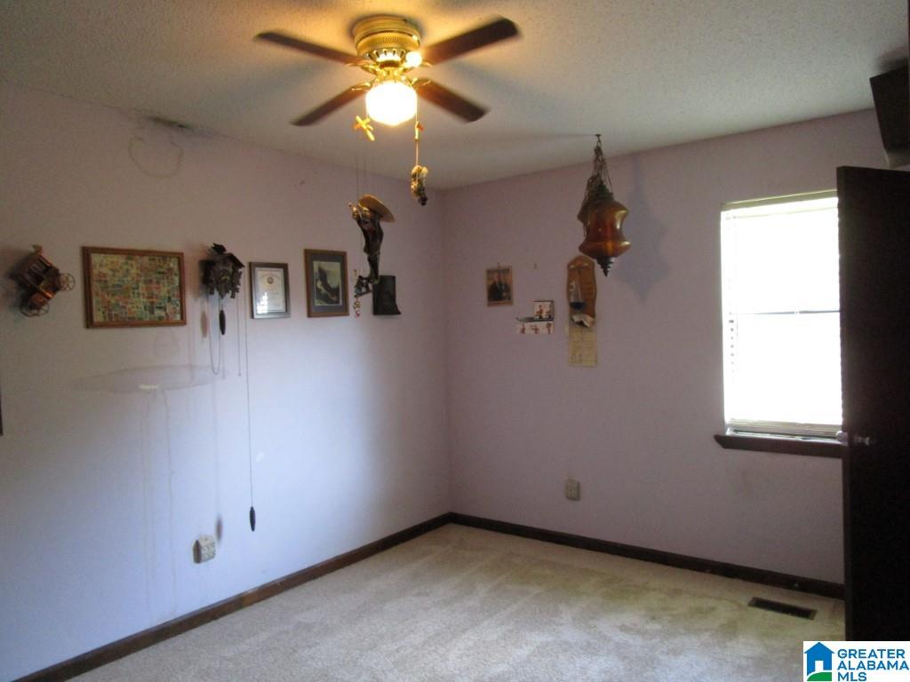 434 Skyview Lake Road Warrior, AL 35180 - Photo 10 of 17